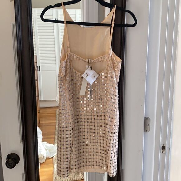 Parker sequins nude dress - Picture 2 of 8